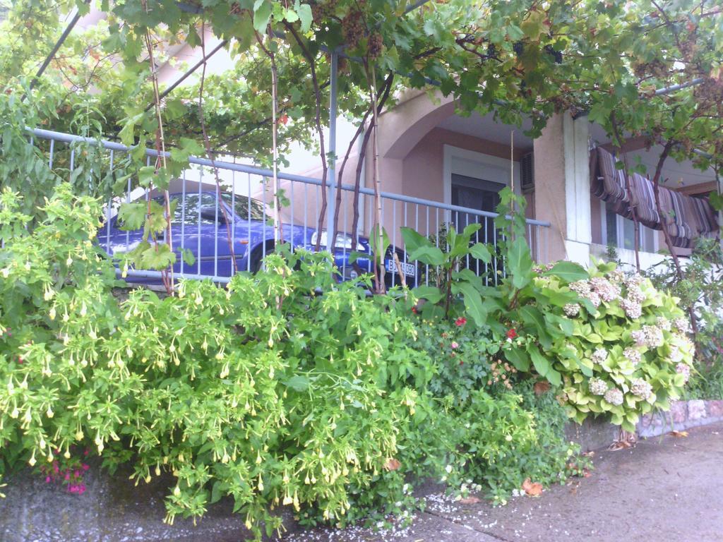 Apartments Mitrovic Podlicak Sveti Stefan Kültér fotó